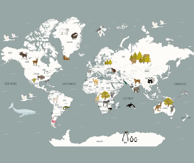 Wallpaper World Map in French for Children, Gray