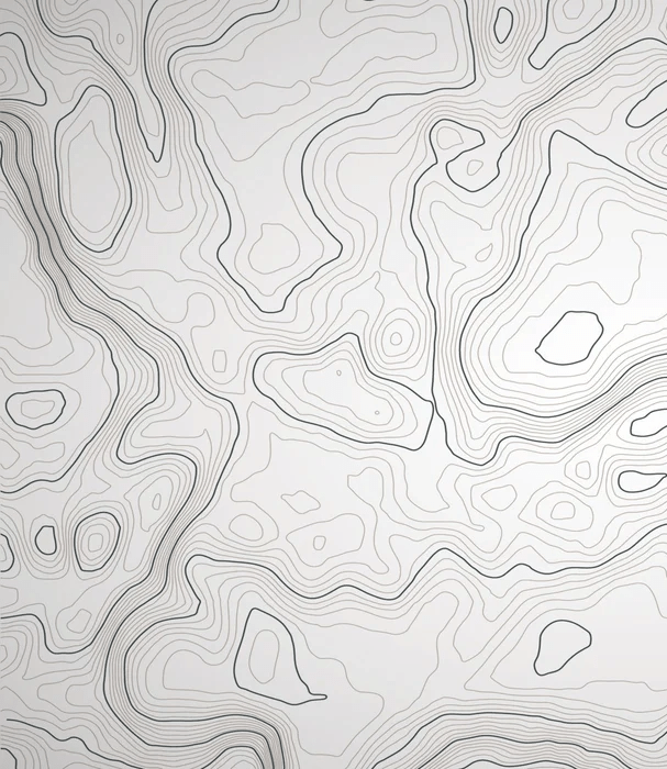 Topographic line wallpaper - Black and white