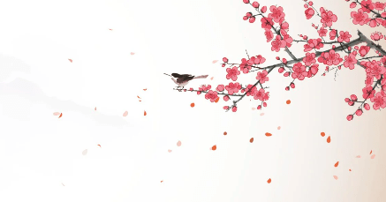 Zen harmony sakura wallpaper