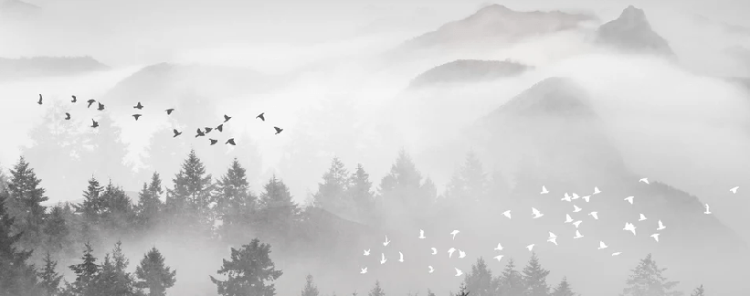 Mystical Mountain Mist Wallpaper