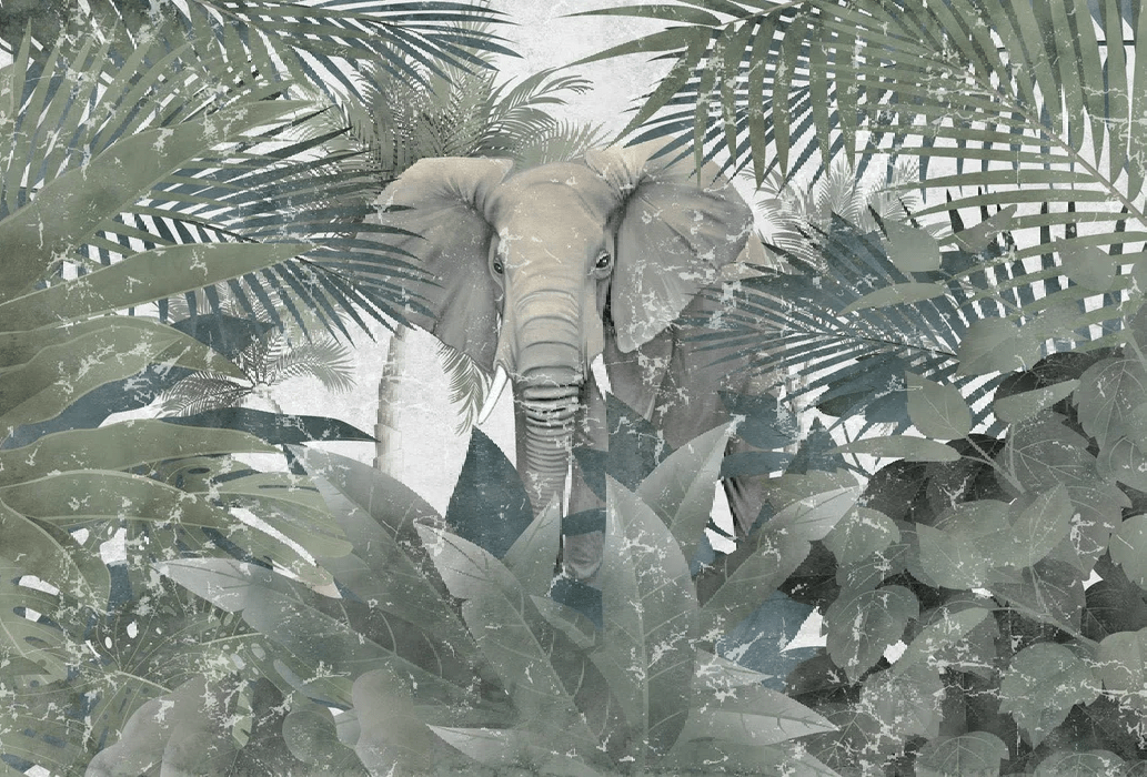 Amazonian Elephant Wallpaper