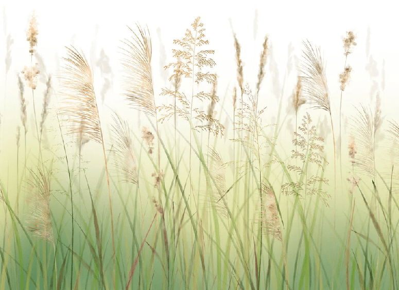 Wheat field flower wallpaper with gradient effect
