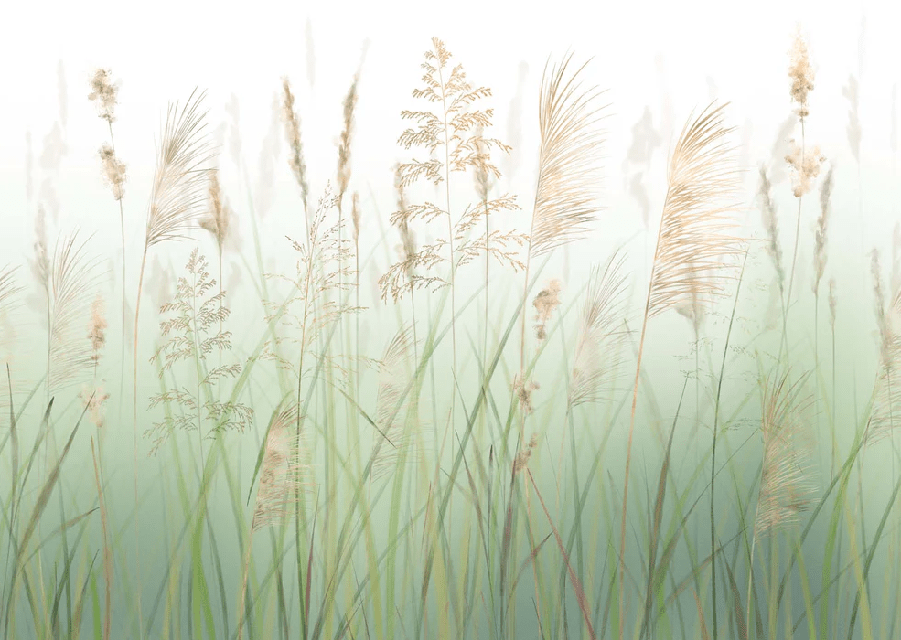 Papier peint fleur des champs de blé vert - Muralconcept