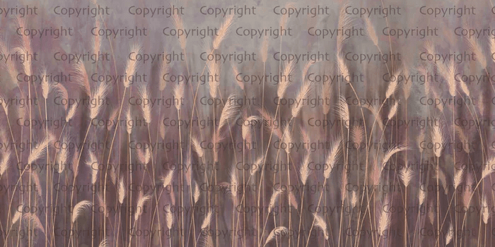 Papier peint panoramique herbes sauvages rose - Muralconcept