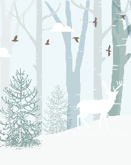 Children's bedroom wallpaper Lapland