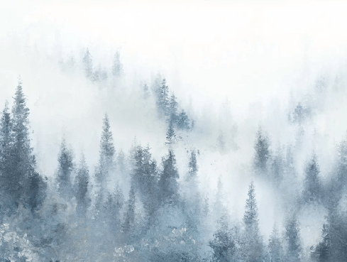 Watercolor blue mist fir tree restaurant wallpaper