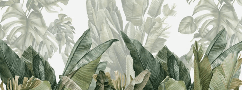 Green banana tree panoramic wallpaper