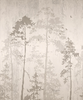 Autumn Forest Wallpaper