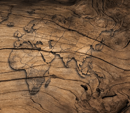 Papier peint Wood & Map, XXL, tendance