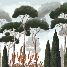 Custom wallpaper featuring cypress trees, pine trees, and pampas grass