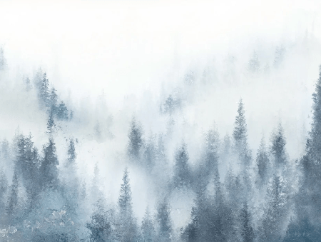 Watercolor blue mist fir tree restaurant wallpaper