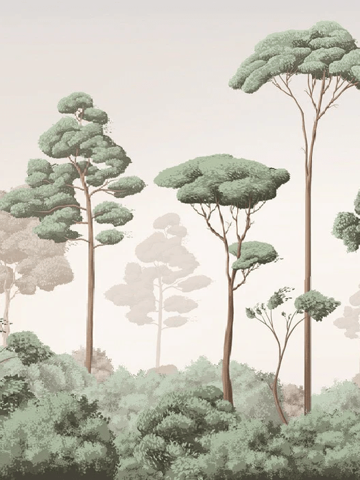Light Breeze Pine Forest Wallpaper