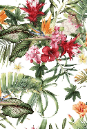 Tropical wallpaper & Colorful flowers