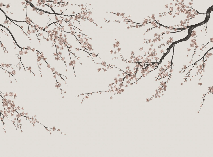 Sakura beige panoramic wallpaper