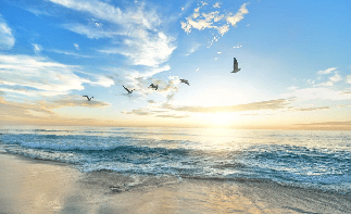 Paradise Beach Wallpaper