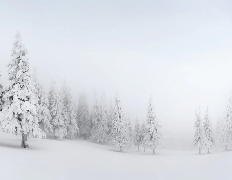 Papier peint panoramique forêt enneigée, XXL, tendance
