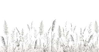 Poetic pampa wallpaper