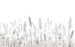 Papier peint poétique pampa - Muralconcept