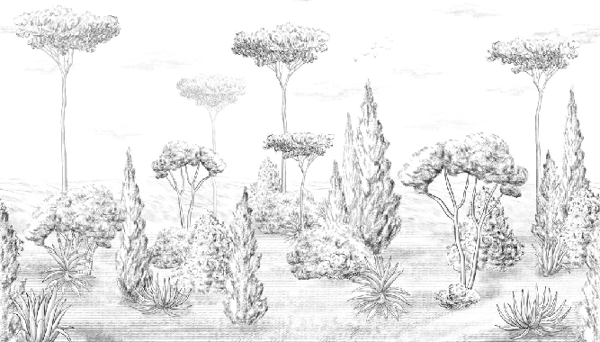 Ancient forest panoramic wallpaper