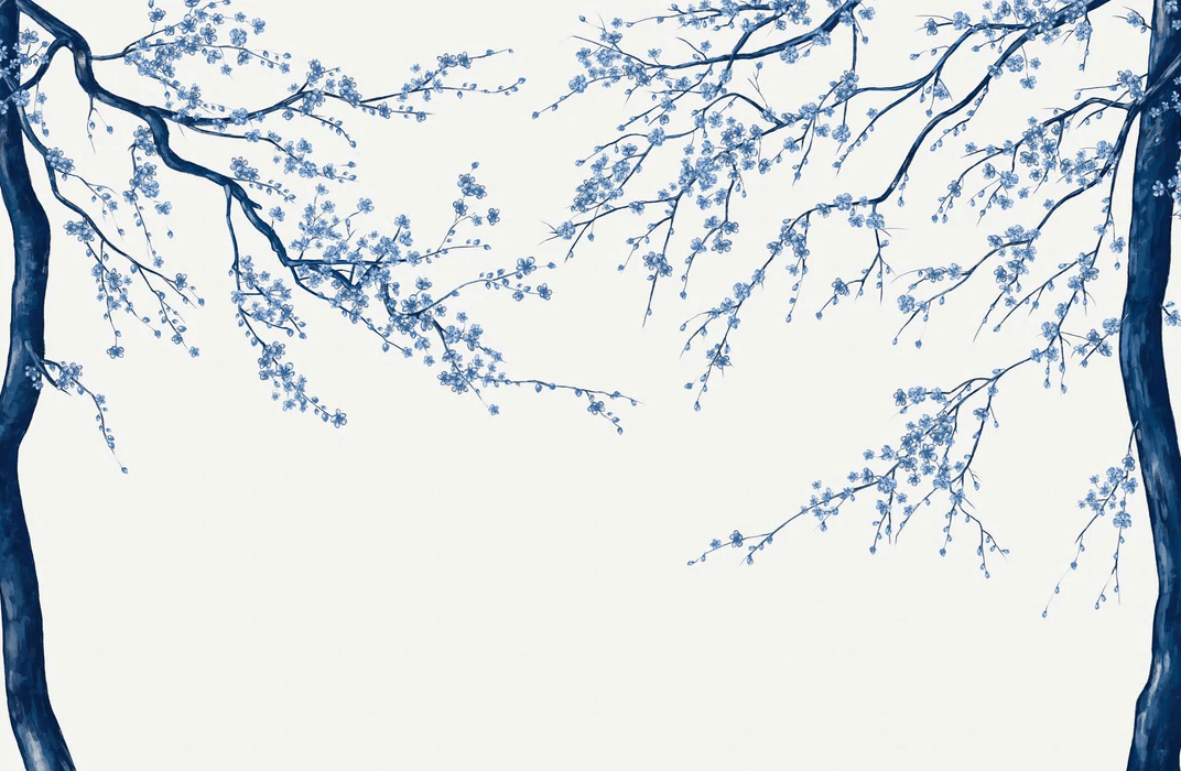 White Sakura flower panoramic wallpaper