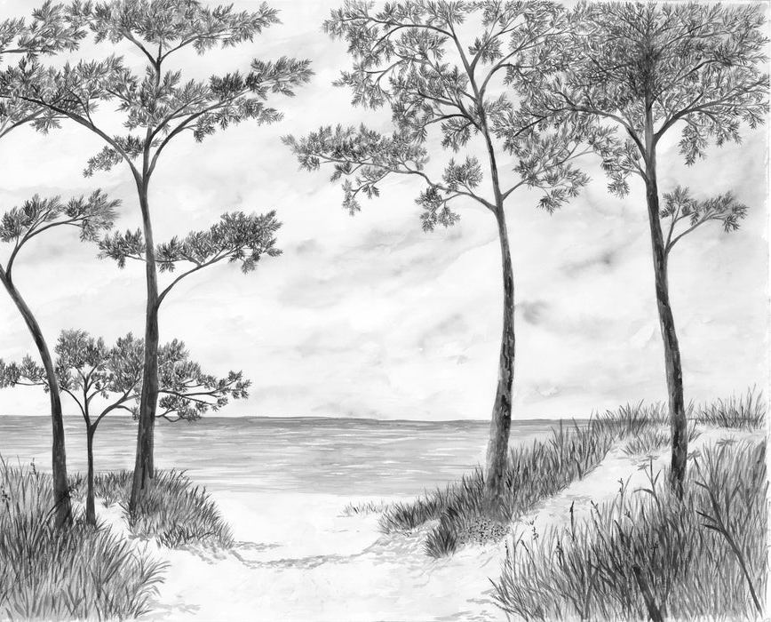 Seaside Pines and Dunes Wallpaper - Black and White
