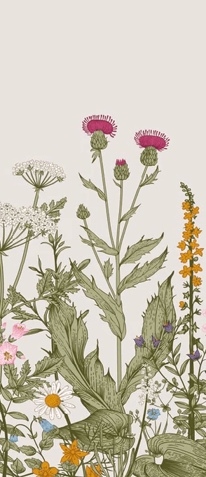 Romantic folk botanical flower wallpaper