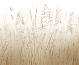 Wheat field flower wallpaper