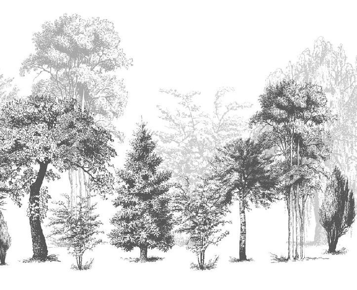 Black and white nature bathroom wallpaper