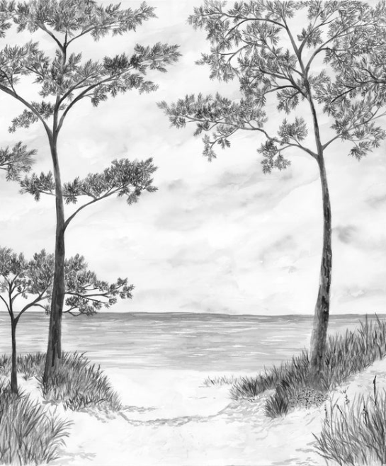 Papier peint Pins maritimes et dunes - Noir et blanc