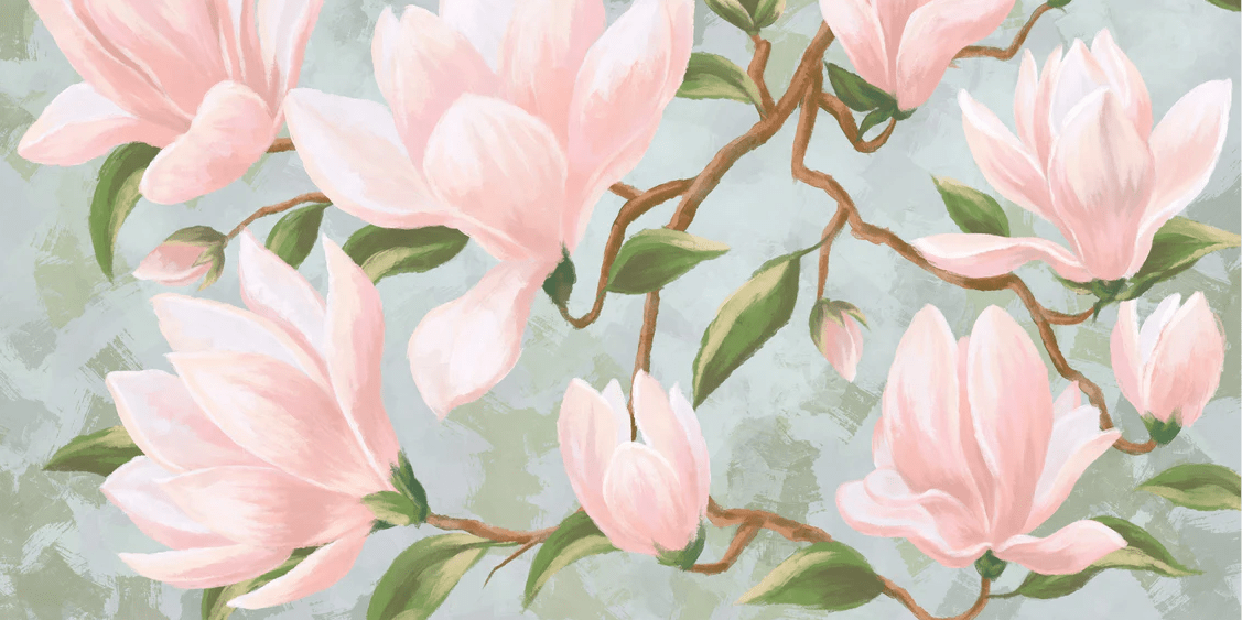 Flowering magnolia wallpaper