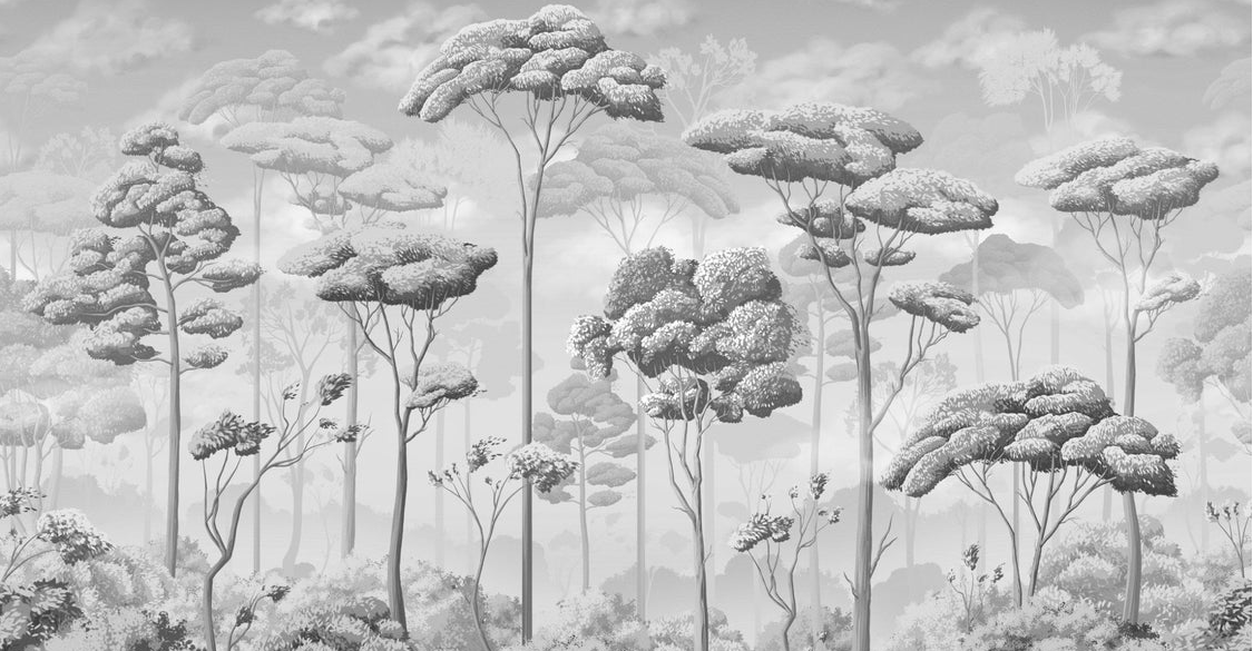 Black and white pine forest panoramic wallpaper