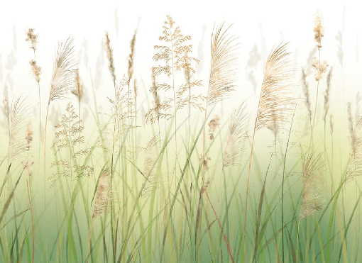 Wheat field flower wallpaper with gradient effect