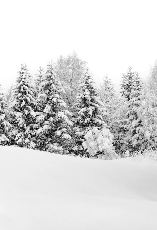 Papier peint panoramique évasion hivernale