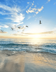 Paradise Beach Wallpaper