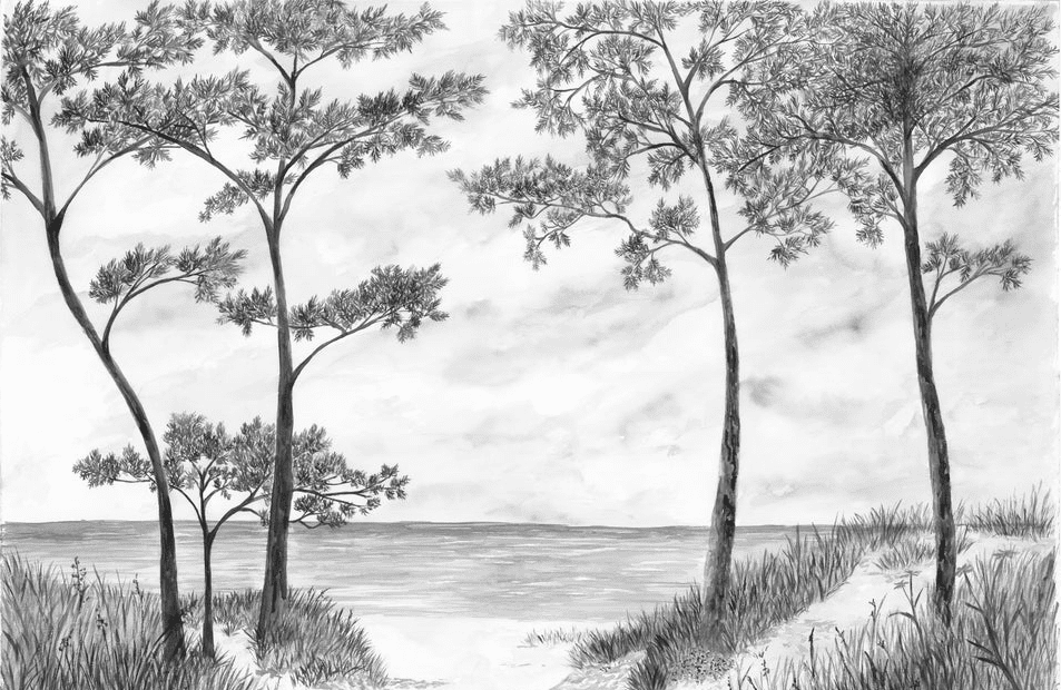 Papier peint Pins maritimes et dunes - Noir et blanc - Muralconcept