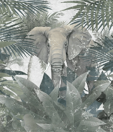 Amazonian Elephant Wallpaper