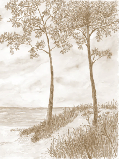 Maritime Pines and Dunes Wallpaper - Sepia