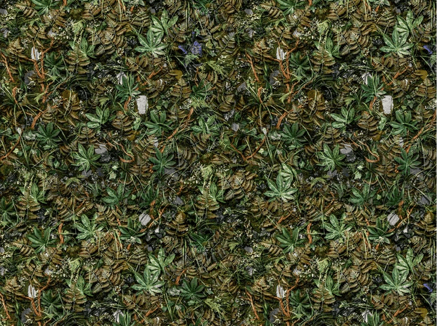 Panoramic trompe l'oeil wallpaper plant wall