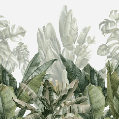Green banana tree panoramic wallpaper