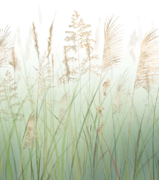 Green wheat field flower wallpaper