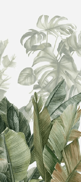 Papier peint panoramique bananier vert - Muralconcept