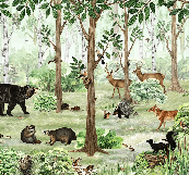 Forest Softness Baby Wallpaper