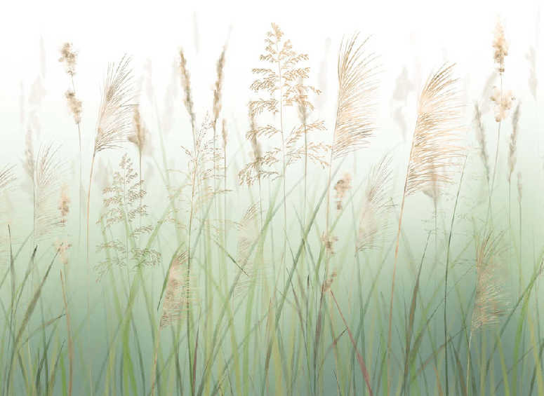 Papier peint fleur des champs de blé vert, XXL, tendance