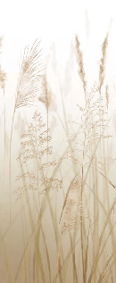 Wheat field flower wallpaper