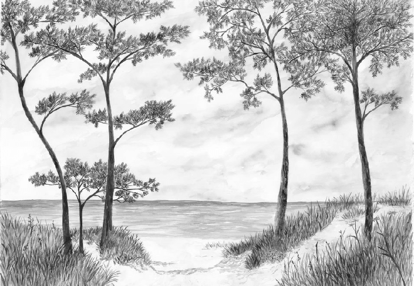 Papier peint Pins maritimes et dunes - Noir et blanc - Muralconcept