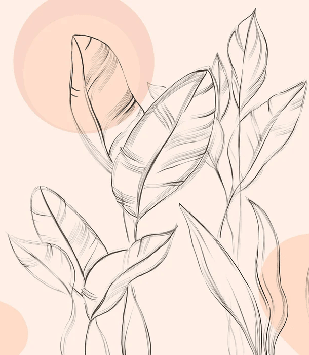 Papier peint gracieuse flore - Muralconcept