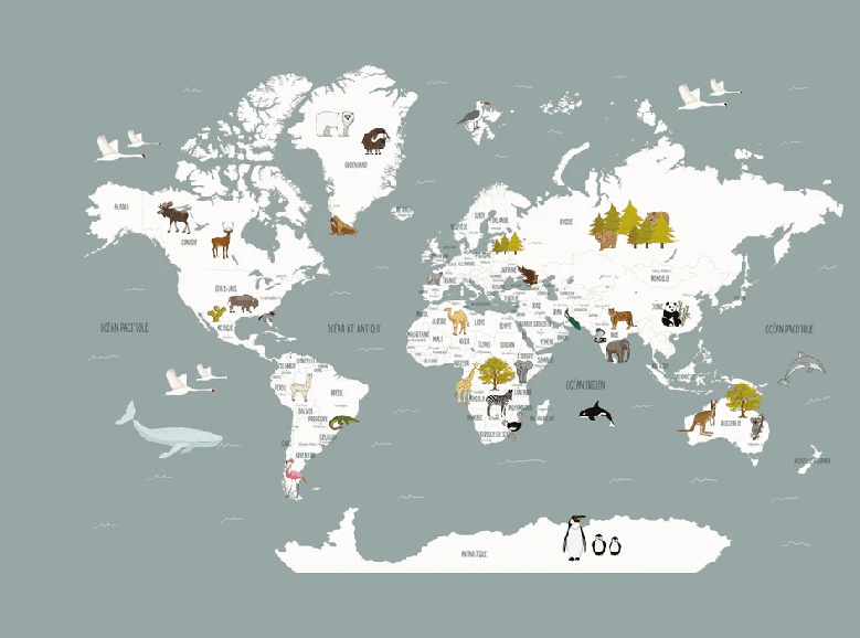 Papier peint Carte du monde en Francais enfant gris - Muralconcept