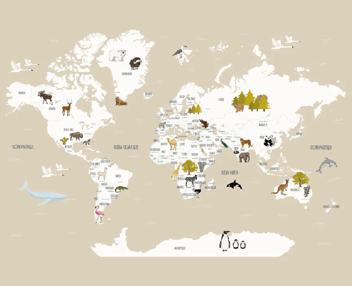 Beige French children's world map wallpaper
