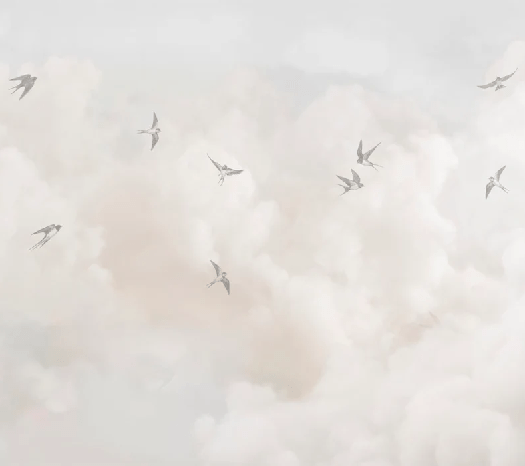 Panoramic wallpaper - Timeless sky