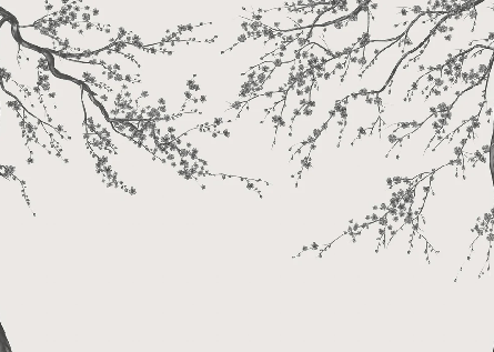 Black and white Sakura flower panoramic wallpaper